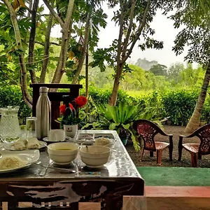 Palace View , Sigiriya Sri Lanka