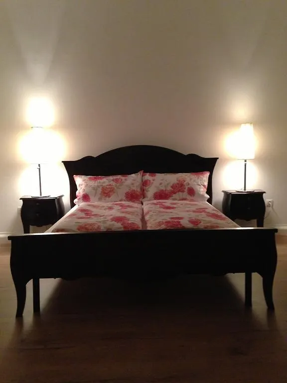 City Apartment Viena 0*,